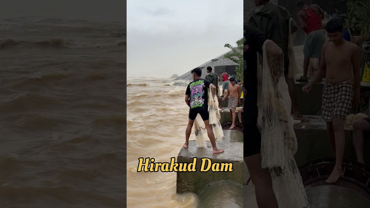Hirakud Dam Re Machhadhara video #hirakuddam #fishing #shorts #video #viralvideo #short #vlog