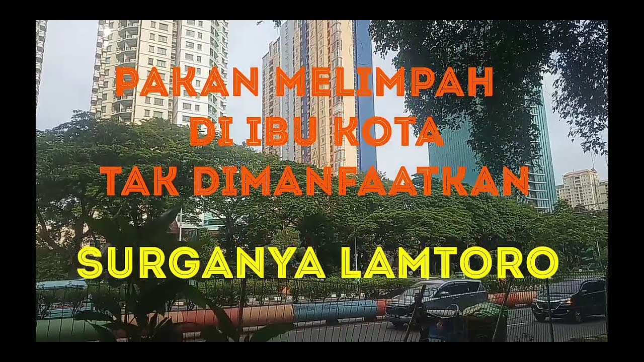 PAKAN TERNAK MELIMPAH DI IBUKOTA | SURGANYA LAMTORO