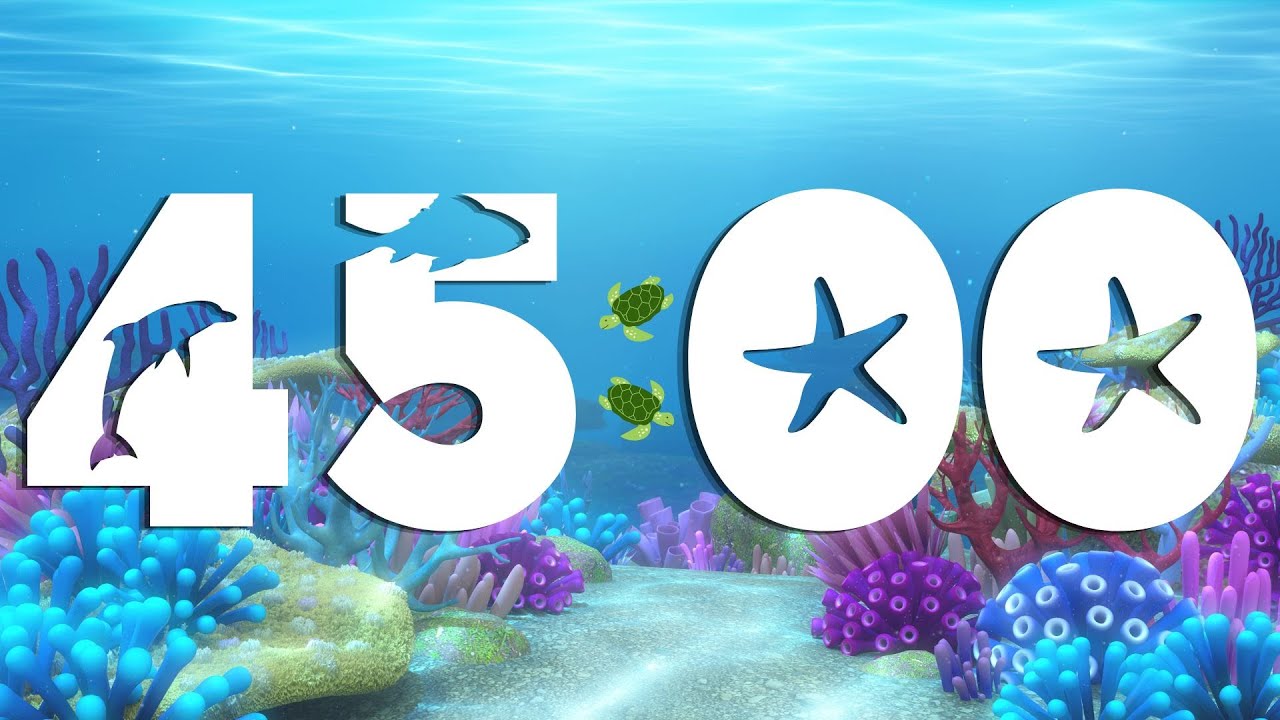 45 Minute Underwater Sea Timer