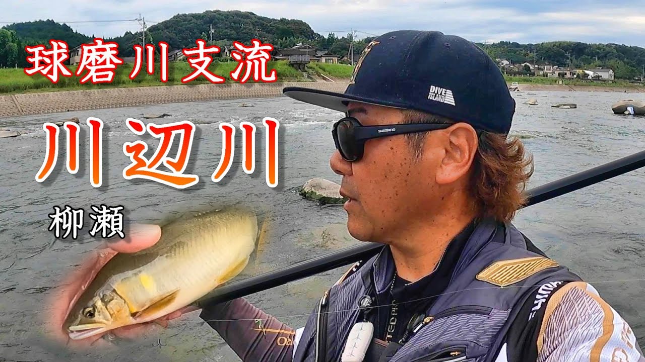 球磨川支流 川辺川 柳瀬　鮎釣り