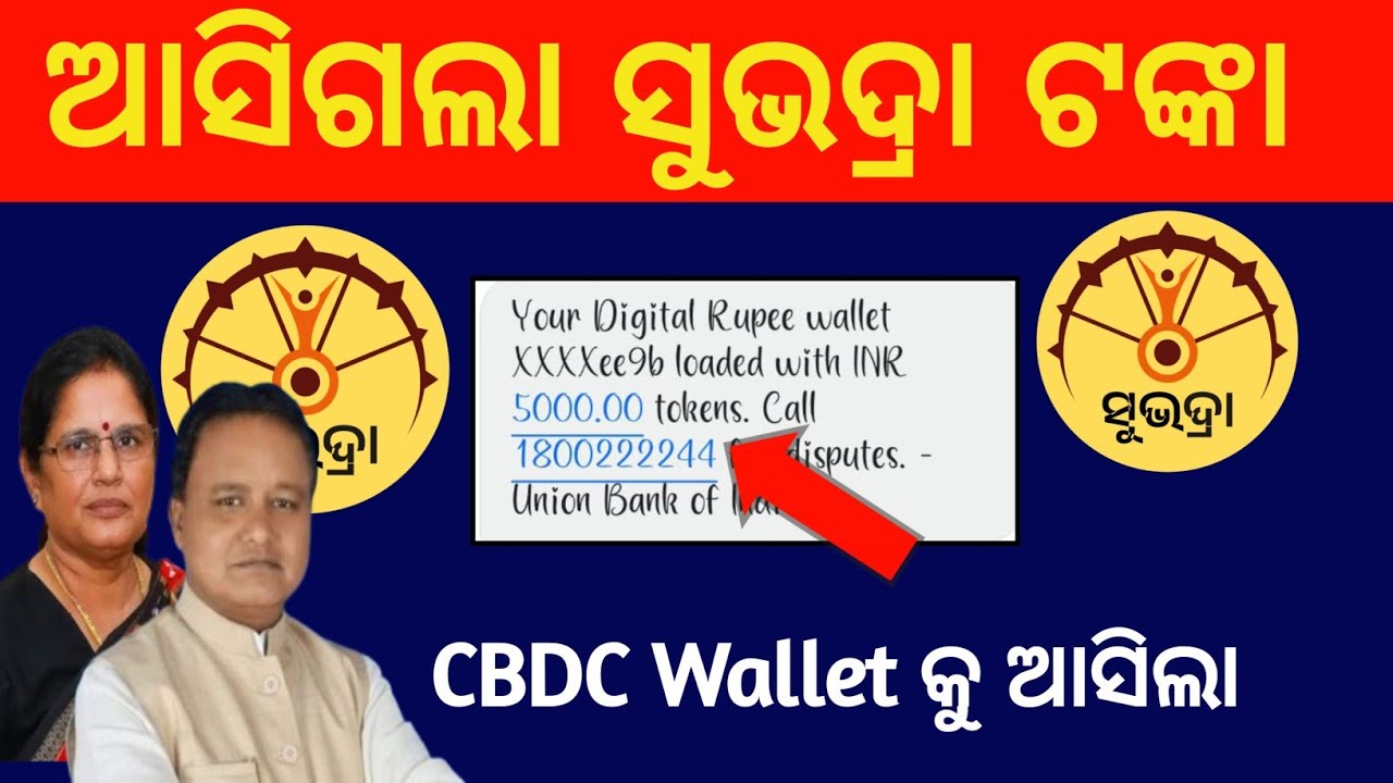 Wallet କୁ ଆସିଗଲା ସୁଭଦ୍ରା ଟଙ୍କା✅ଜଲଦି ଚେକ୍ କରନ୍ତୁ/Subhadra Yojana money credited in Bank Wallet 