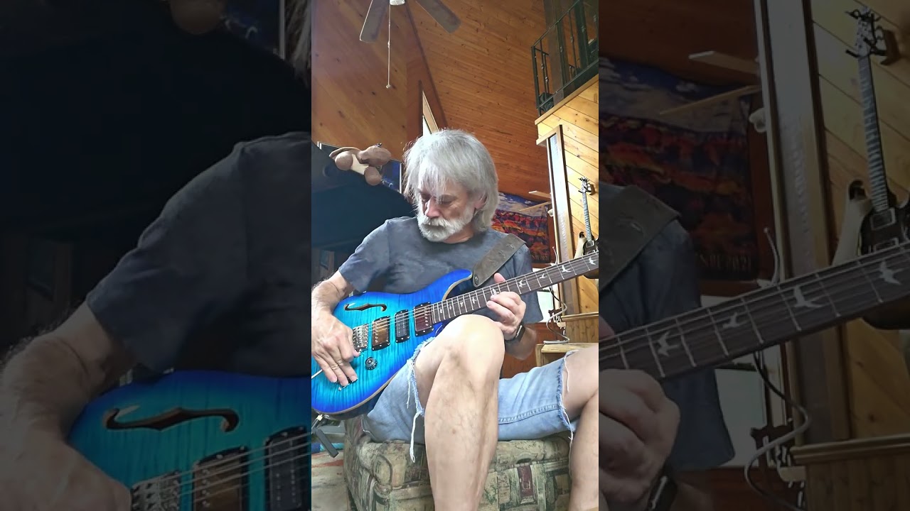 PRS Special SE Semi-Hollow Demo with Overdrive [jdAdamson.com]