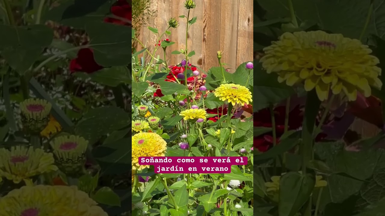 So&ntilde;ando como se ver&aacute; el jard&iacute;n en verano! 😍