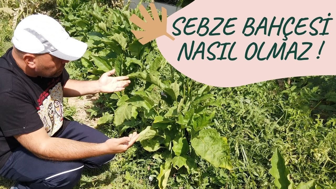 Sebze Bahçesi’nin Püf Noktaları