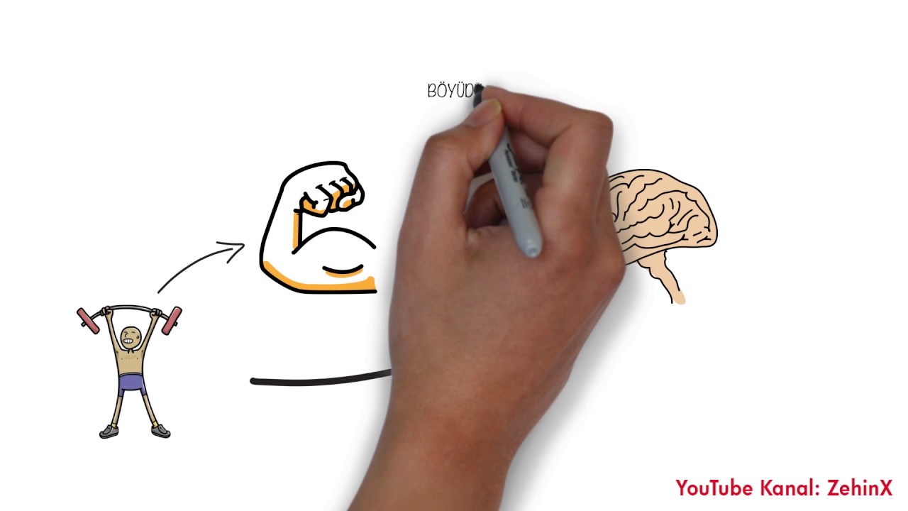 Iradeni guclendirmenin 4 yolu. Irade Instinkti - Kelly McGonigal