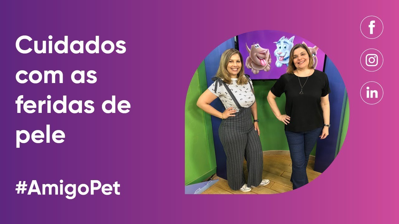 #AmigoPet - Cuidados com as feridas de pele de cães e gatos