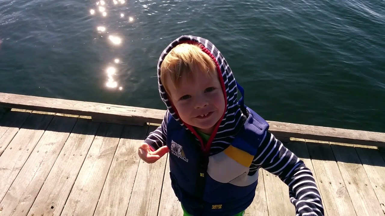 Lets Feed the Ducks