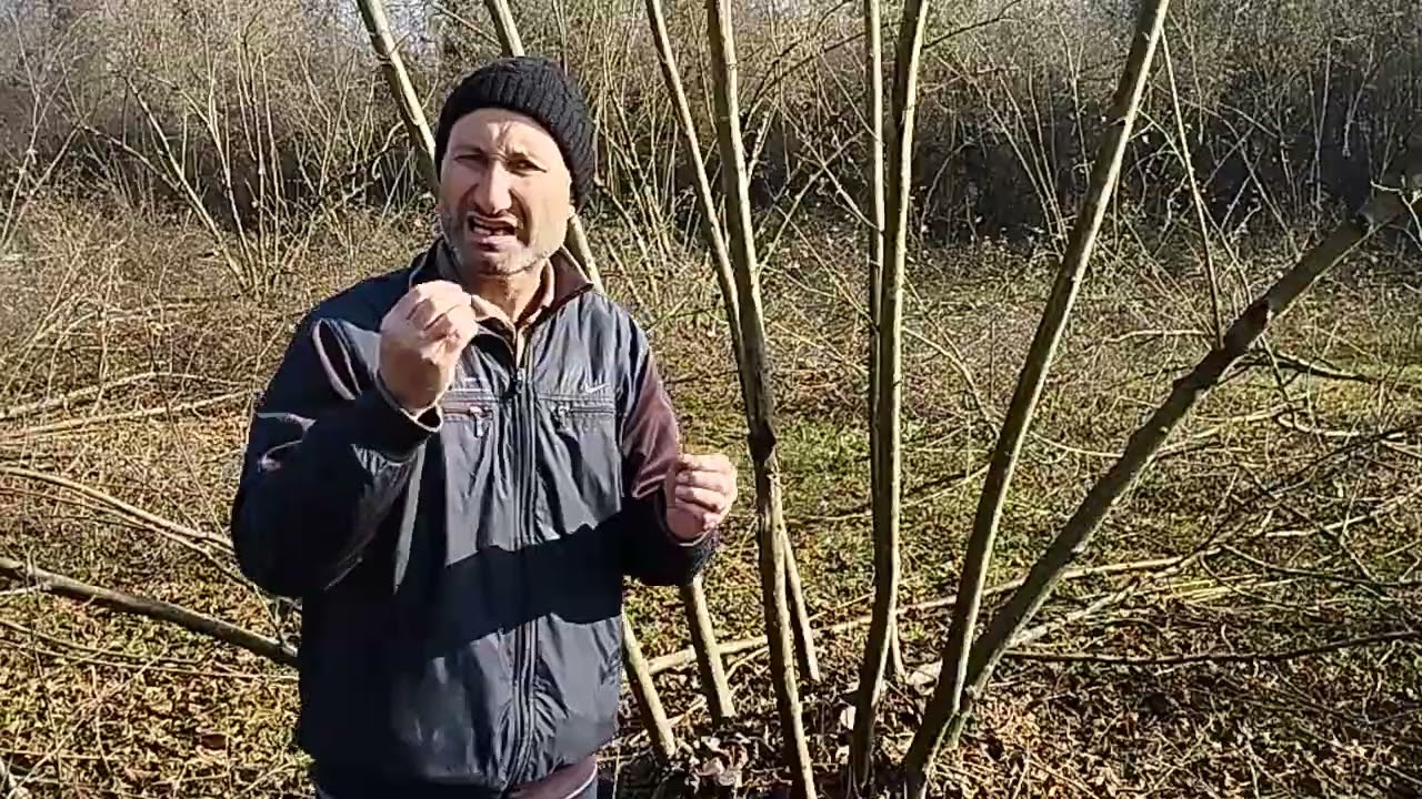 Dəyərli məlumat.
