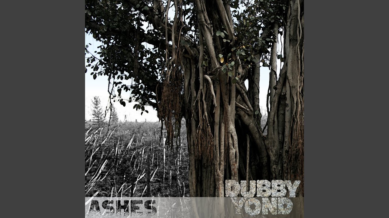 No more dub tears (feat. Edna Sey)