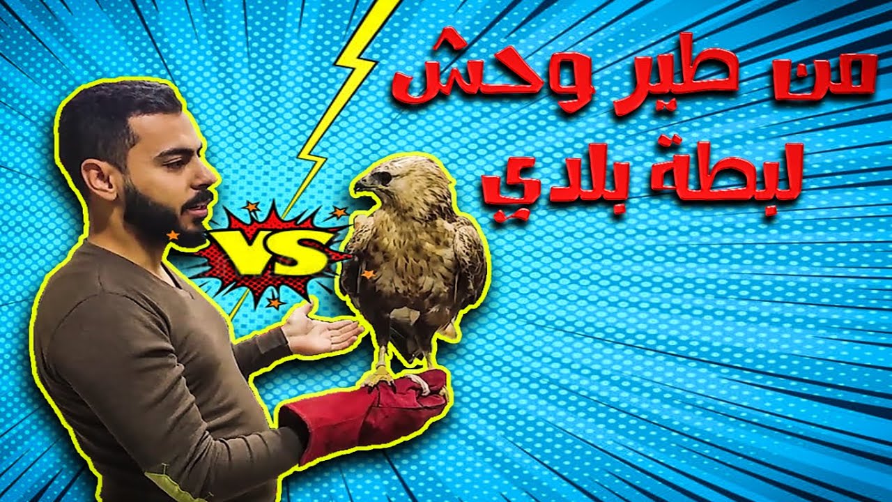 تدريب الجوارح | التدهيل