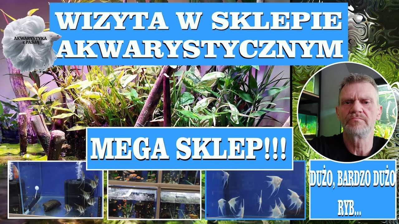 Co Za Sklep Akwarystyczny!!! Spontaniczna Wyprawa i Miłe Zaskoczenie... / Akwarystyka z Pasją.