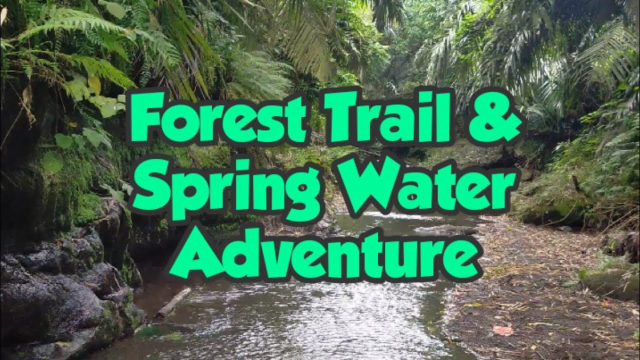 FOREST TRAIL & SPRING WATER ADVENTURE
