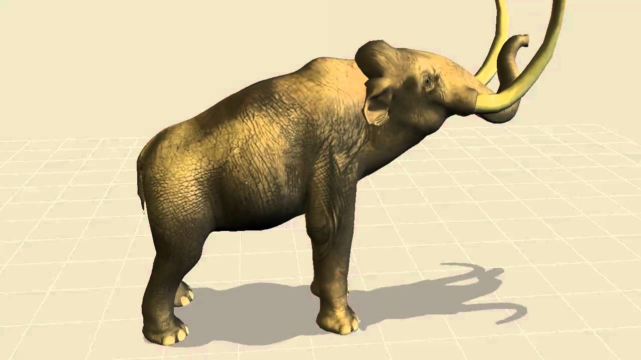 Elephant into Columbian Mammoth  3D body morph