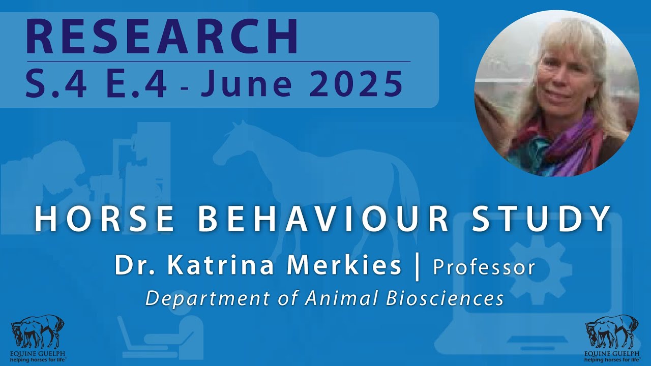 S.4 E.4 - June 2025 - Horse Behaviour Study - Dr.  Merkies,
