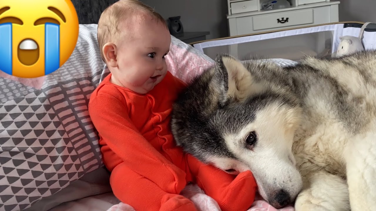 Baby Is So Amazed!! 😭.