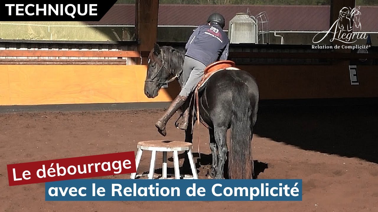 [ EDUQUER SON CHEVAL 👀 ] Le débourrage d'un jeune cheval