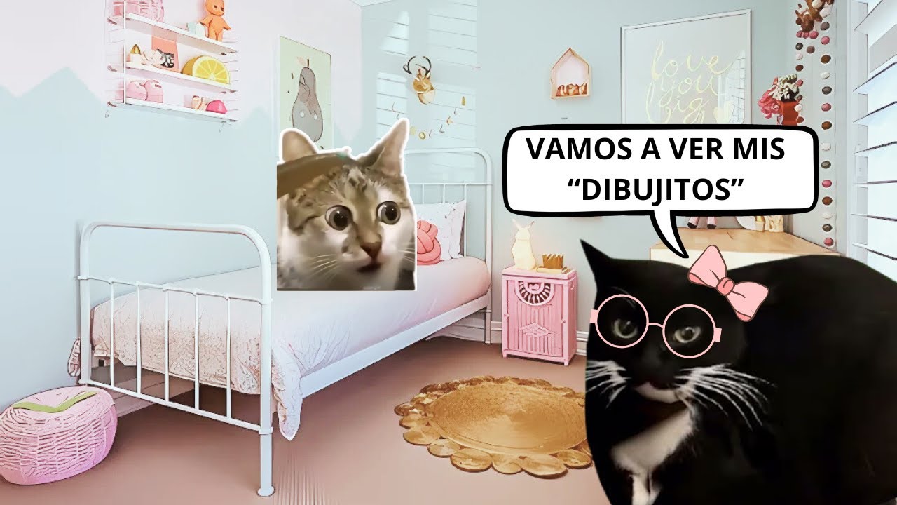 BISABUELITA, anécdotas random (meme de gatos)