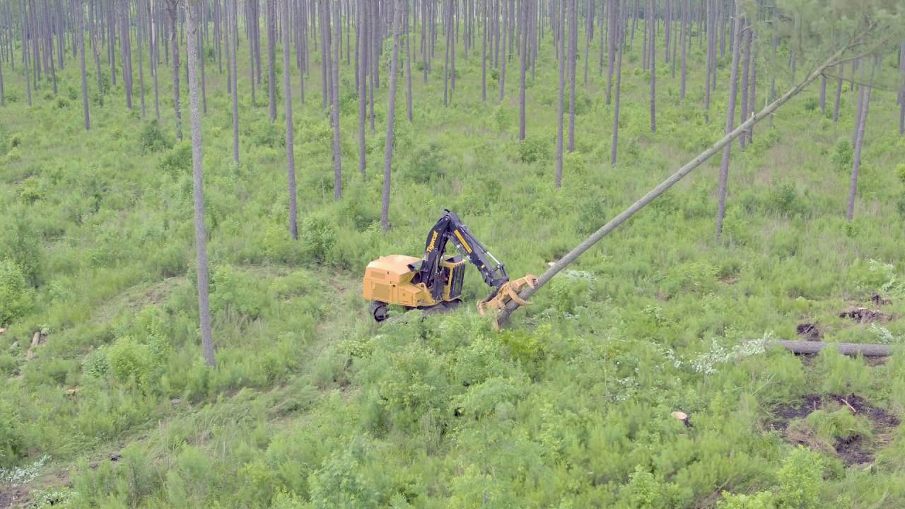 855D Feller Buncher in North Carolina