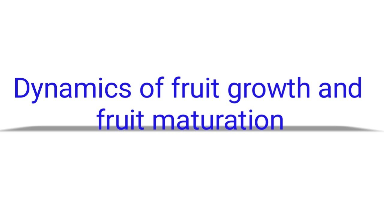 Dynamics Of Fruit Growth And Fruit Maturation