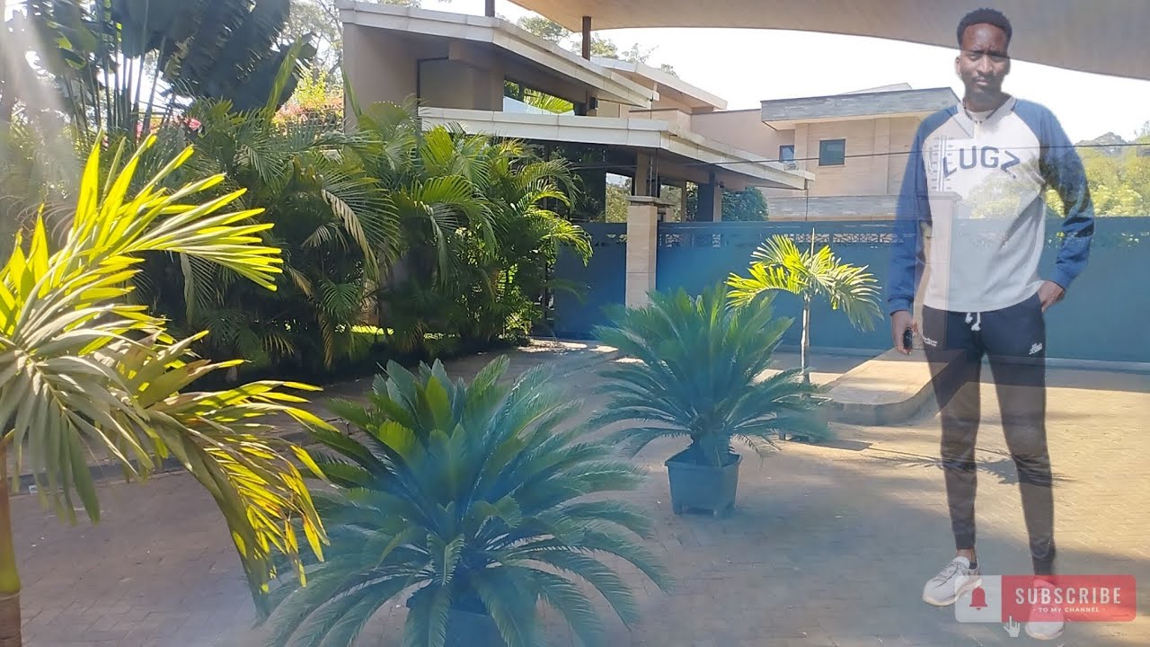 Where the rich hide|Big announcement.(Nairobi Kenya)