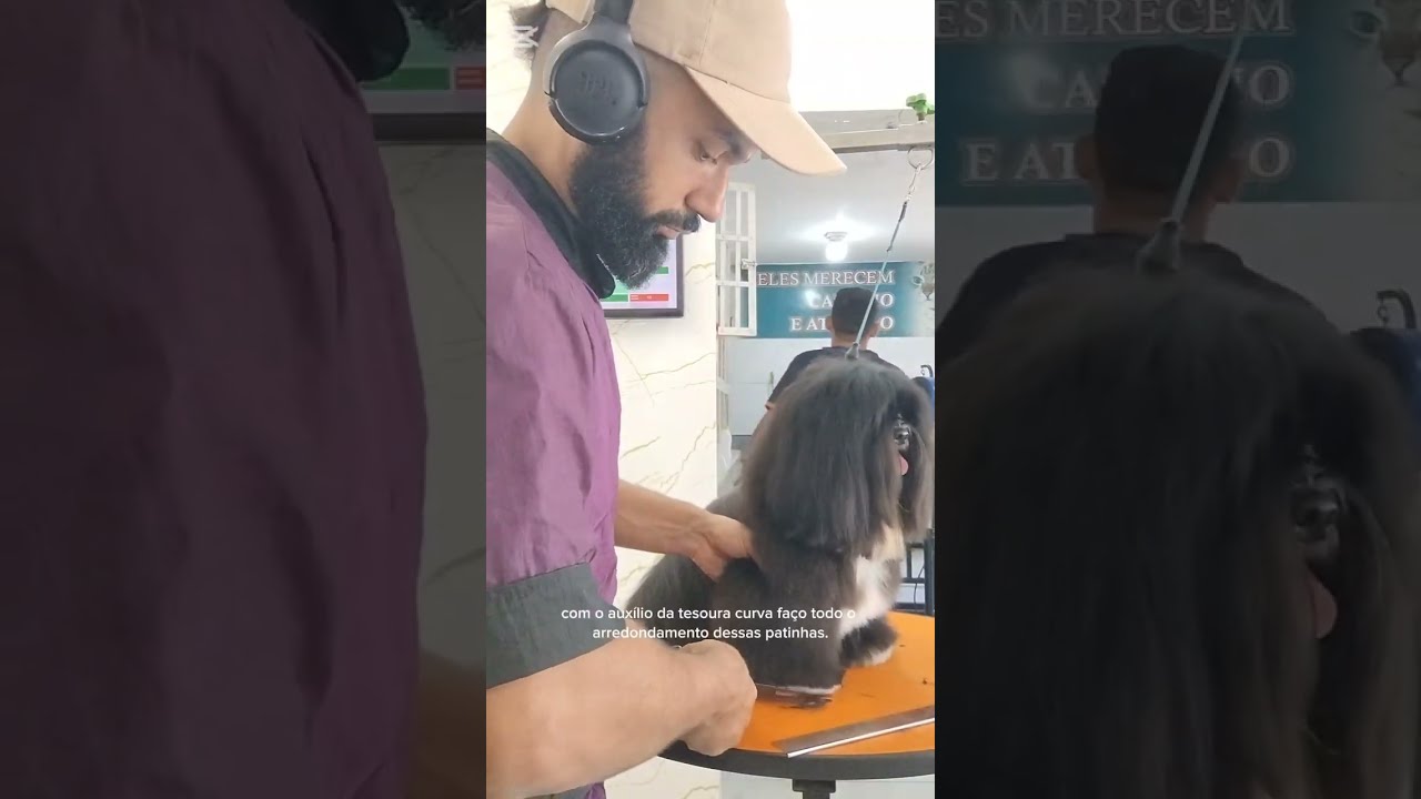 Tosa bebê 100% na tesoura em Shih Tzu passo a passo simples e fácil de fazer.