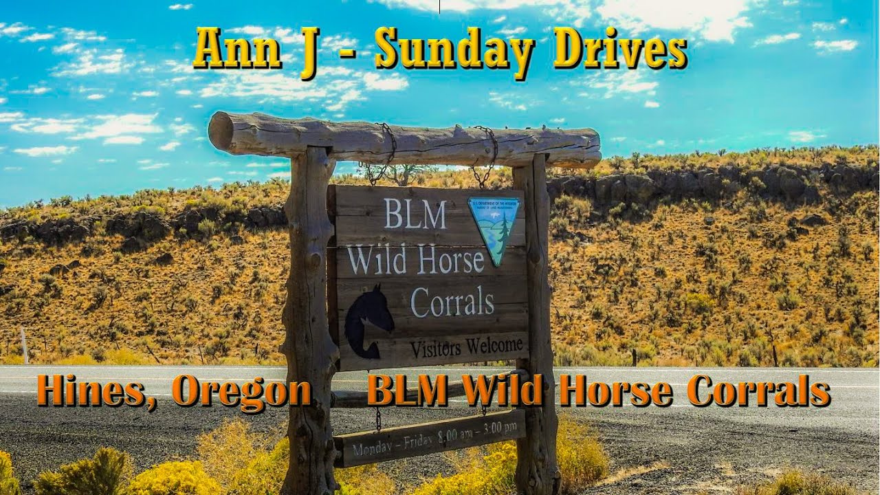 BLM Wild Horse Corrals