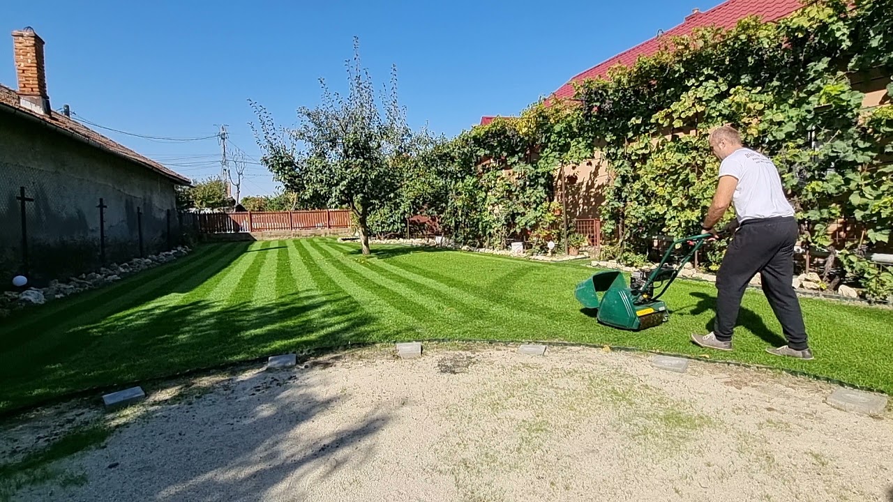 gazonul la 30 de zile plus aplicare de ingrasamant foliar