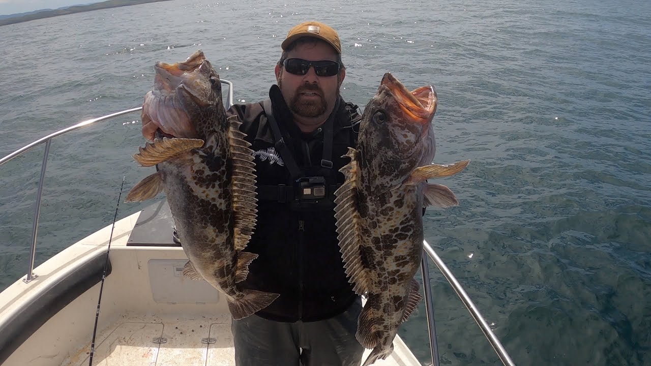 Easy Lingcod and Rock fish limits Bodega Bay