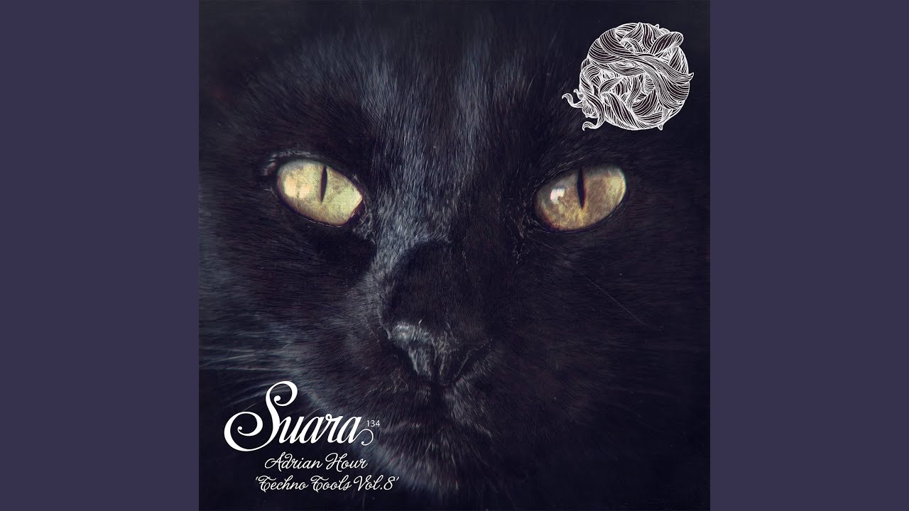 Rhythm Cats (Original Mix)
