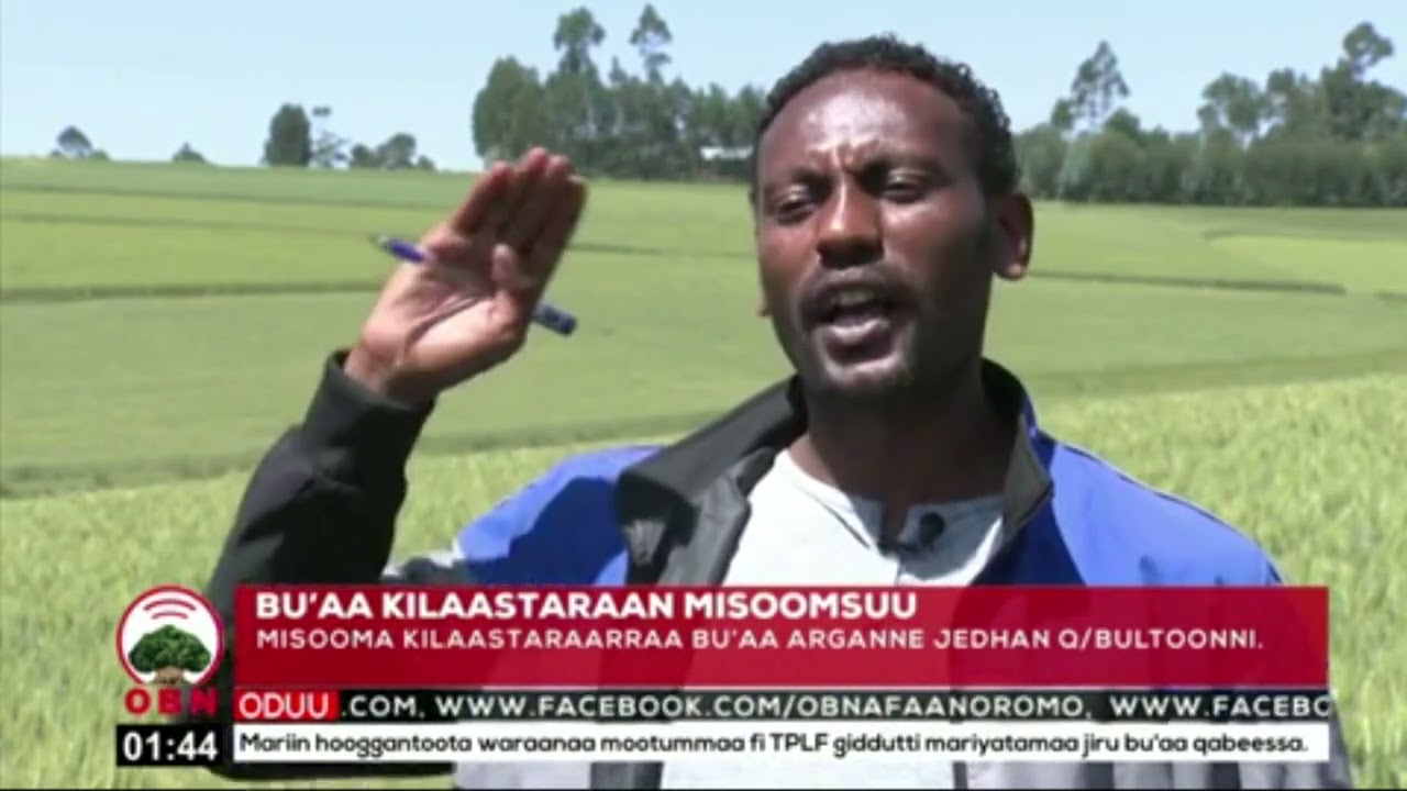 #Misooma Qonna Kilaasteraa