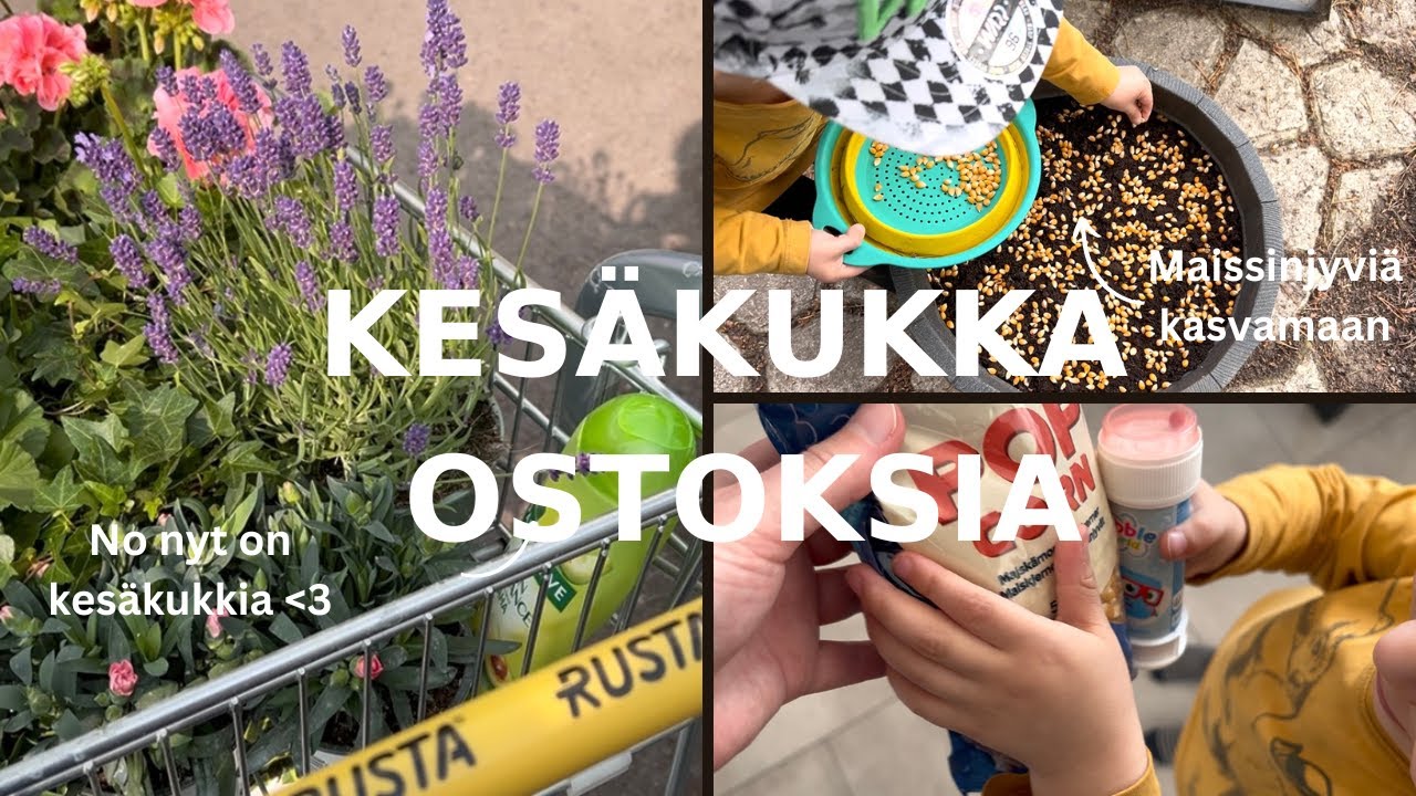 KESÄKUKKAOSTOKSIA | Istutetaan kesäkukat ja popcorninjyviä | Pihahommia