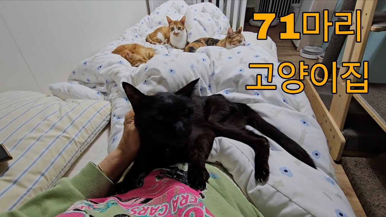 (2026.3.1)시간이 얼마 남지 않은 연이..그리고 잘자라고 있는 아기들