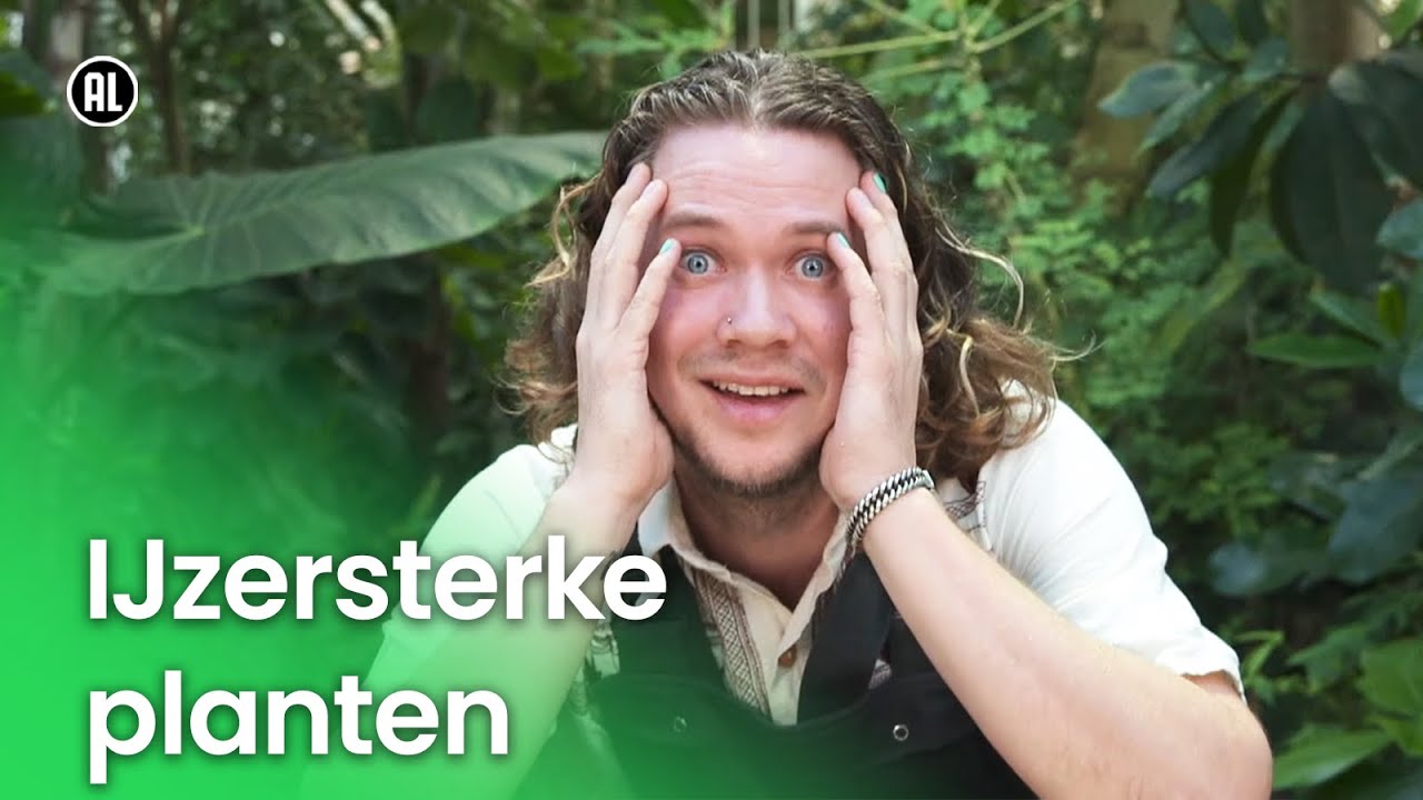 IJzersterke planten | Plantastisch