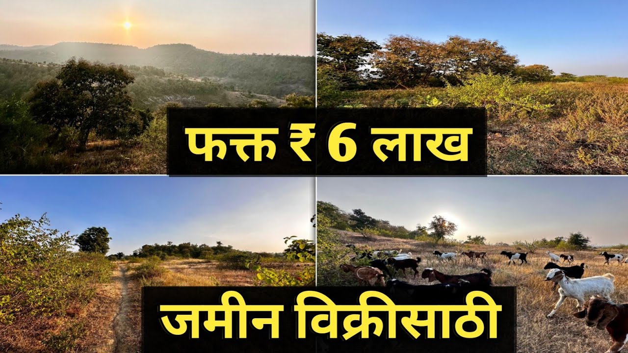 Land For Sale 14 Acres जमीन विक्रीसाठी 14 एकर || Only ₹ 6 LAKH Per Acre