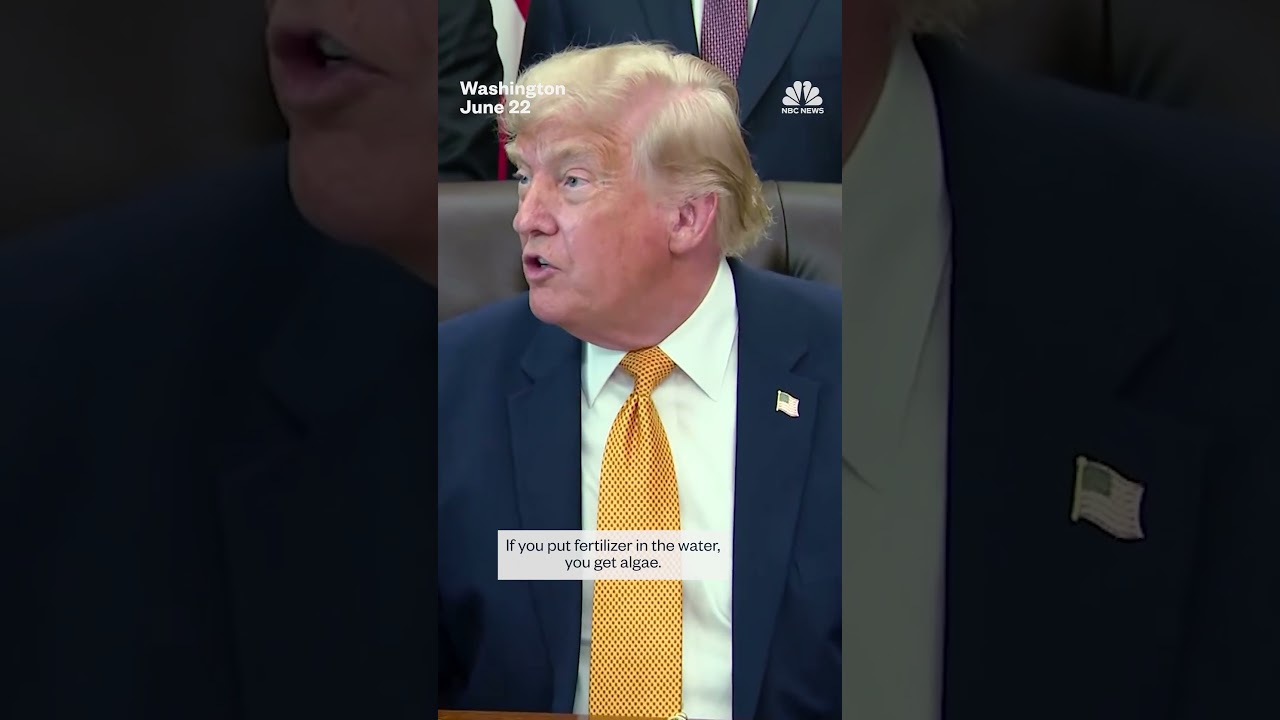 Trump says vandalism responsible for Reflecting Pool damage