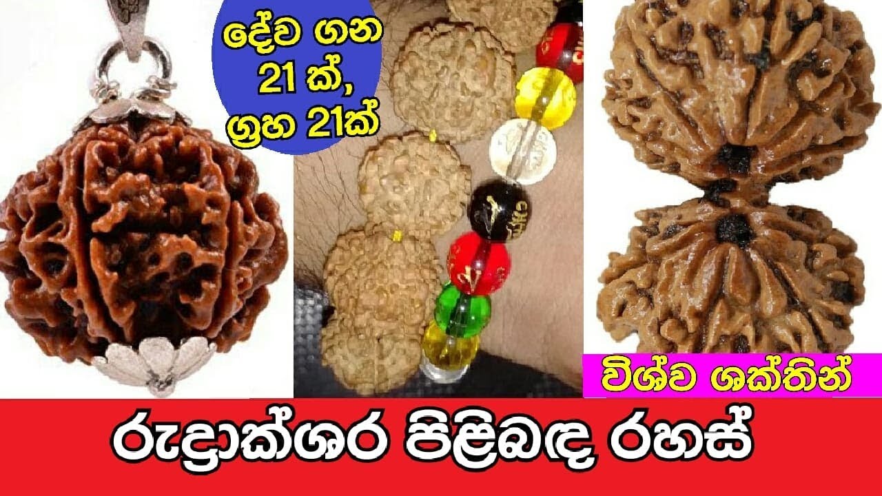 ලෝකයම අත්දකින බලගතු රුද්‍රාක්ෂ