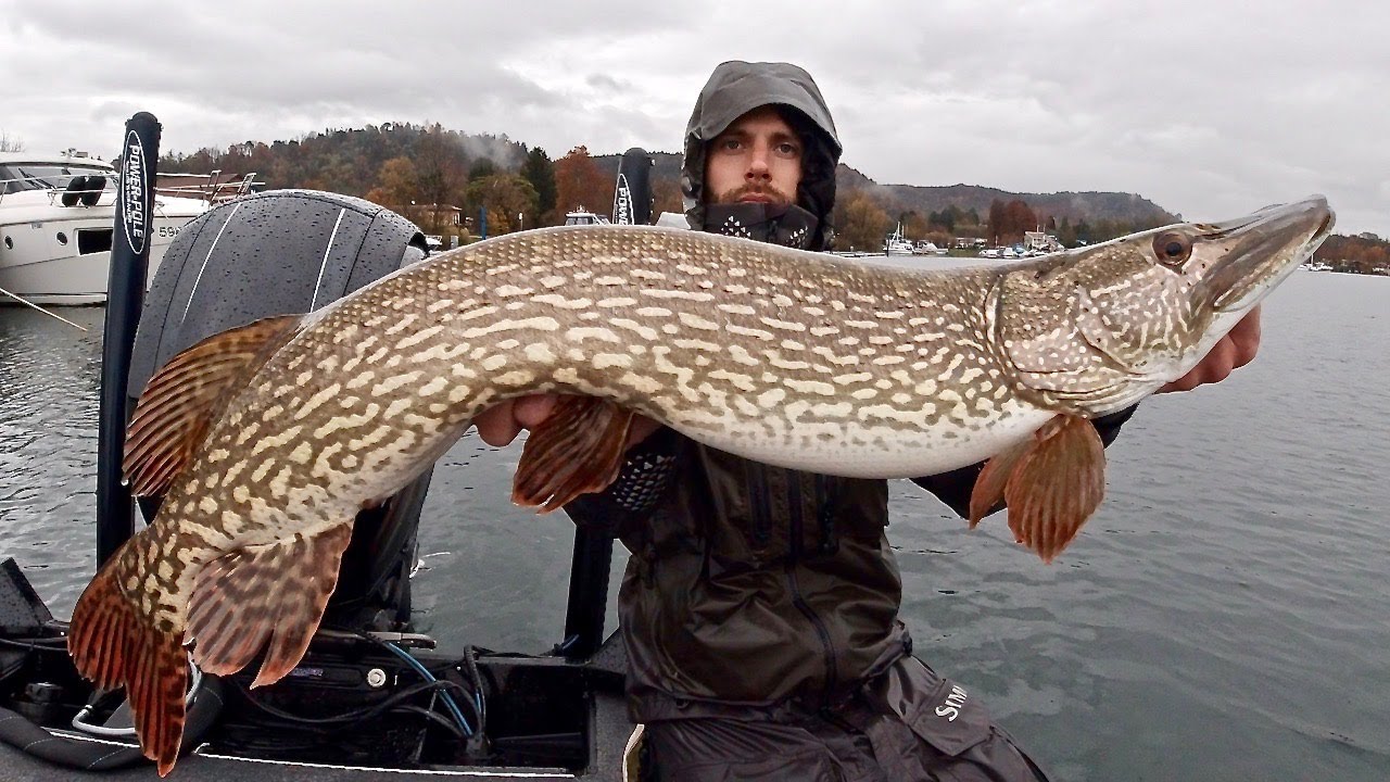 Pesca a Spinning ai GRANDI LUCCI del Lago Maggiore - Big Pike Fishing