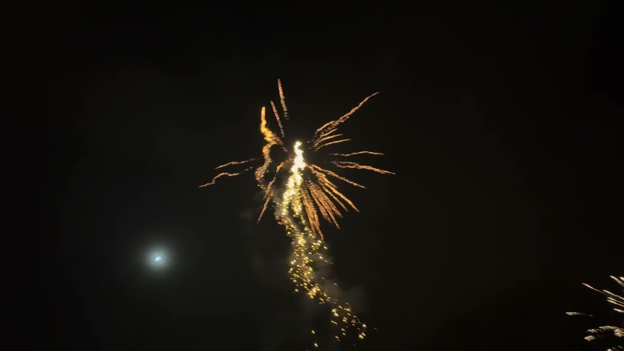 Albert Pink Pirate Neuheit 2025