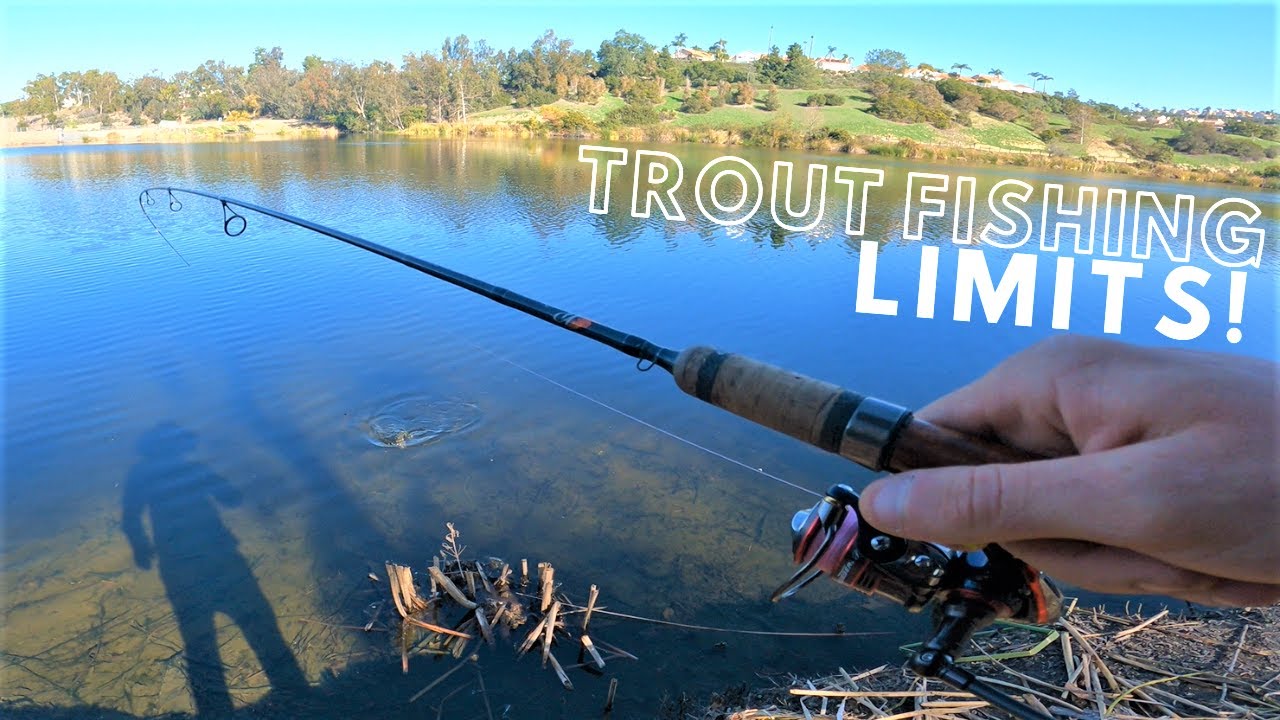 Trout Fishing OC Parks | Laguna Niguel Regional Park Fishing | Part 1