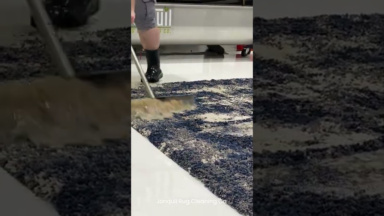 Cleaning a Dirty Shag Rug!