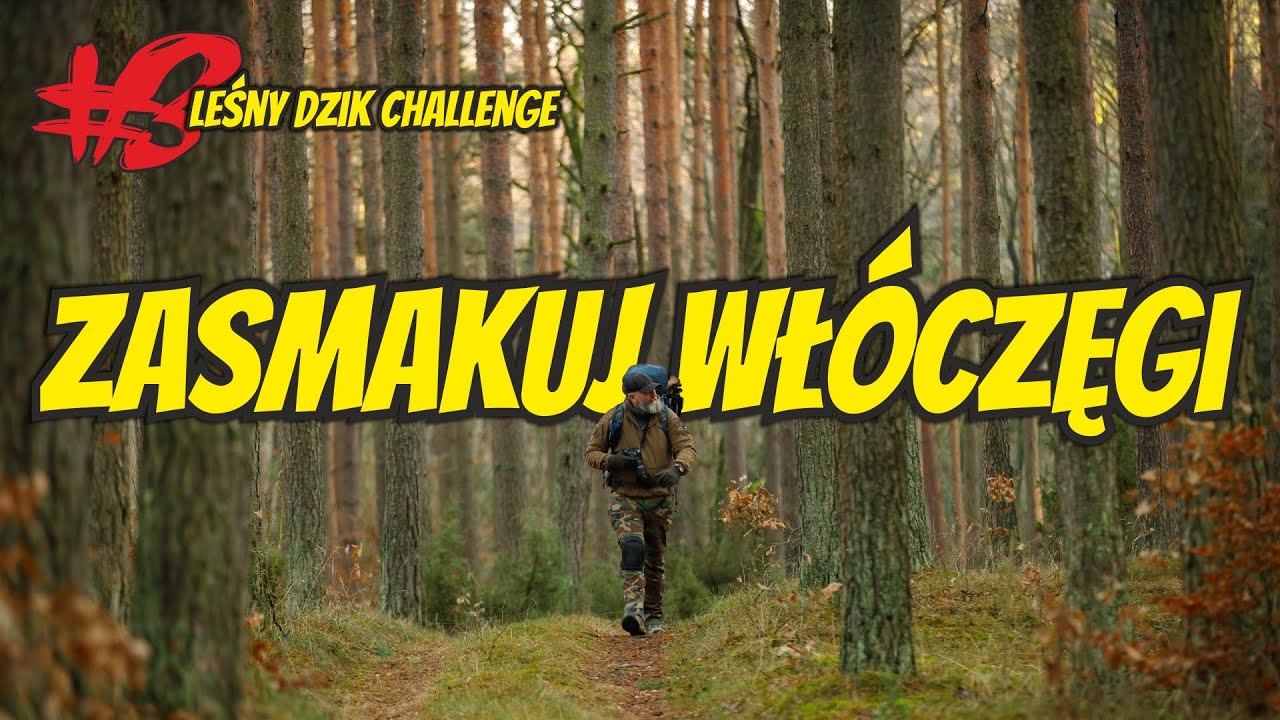 Dzikie zwierzęta & jak wyjść do lasu, wrócić w całości i dlaczego?
