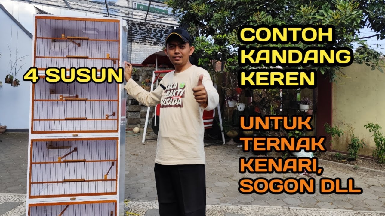 CONTOH KANDANG TERNAK BURUNG KENARI BISA JUGA UNTUK BURUNG SIRTU, SOGON PRENJAK, KEREN MENGINSPIRASI