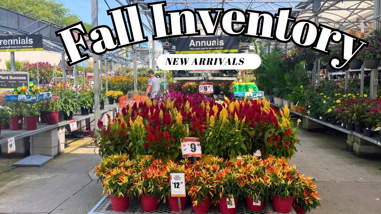 Garden Walk-Thru!🌸(Unbelievable Summer, Fall, Clearance Plants!🪴) Must See!