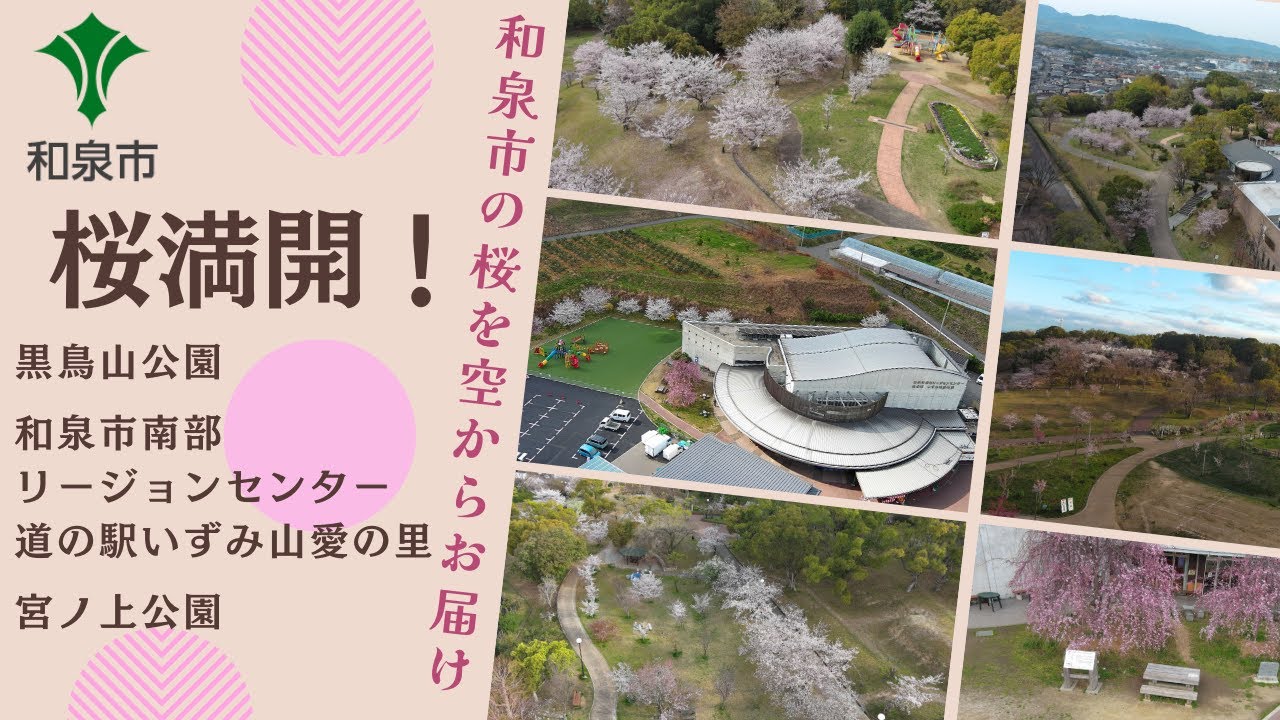和泉市魅力発信空撮動画さくら編