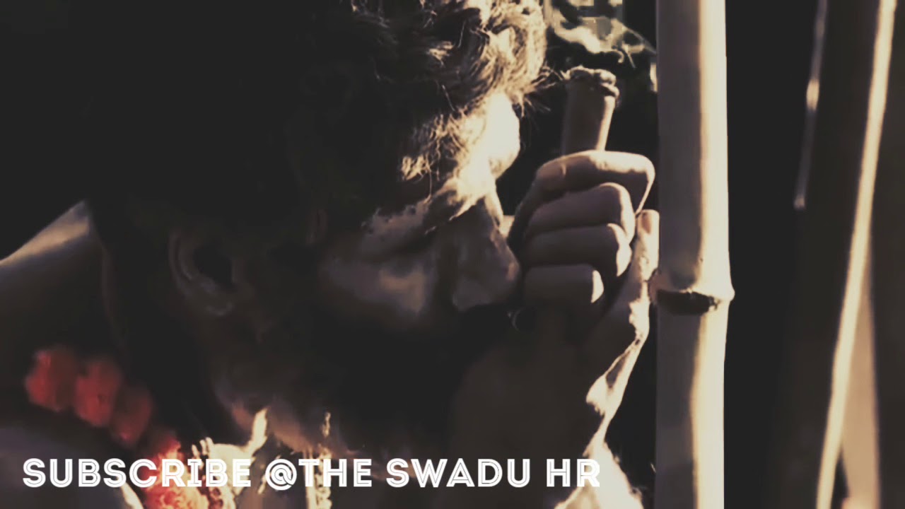 Bhang ragad ke piya karu || Ragni Song || Laal rang movie song || The SWADU HR