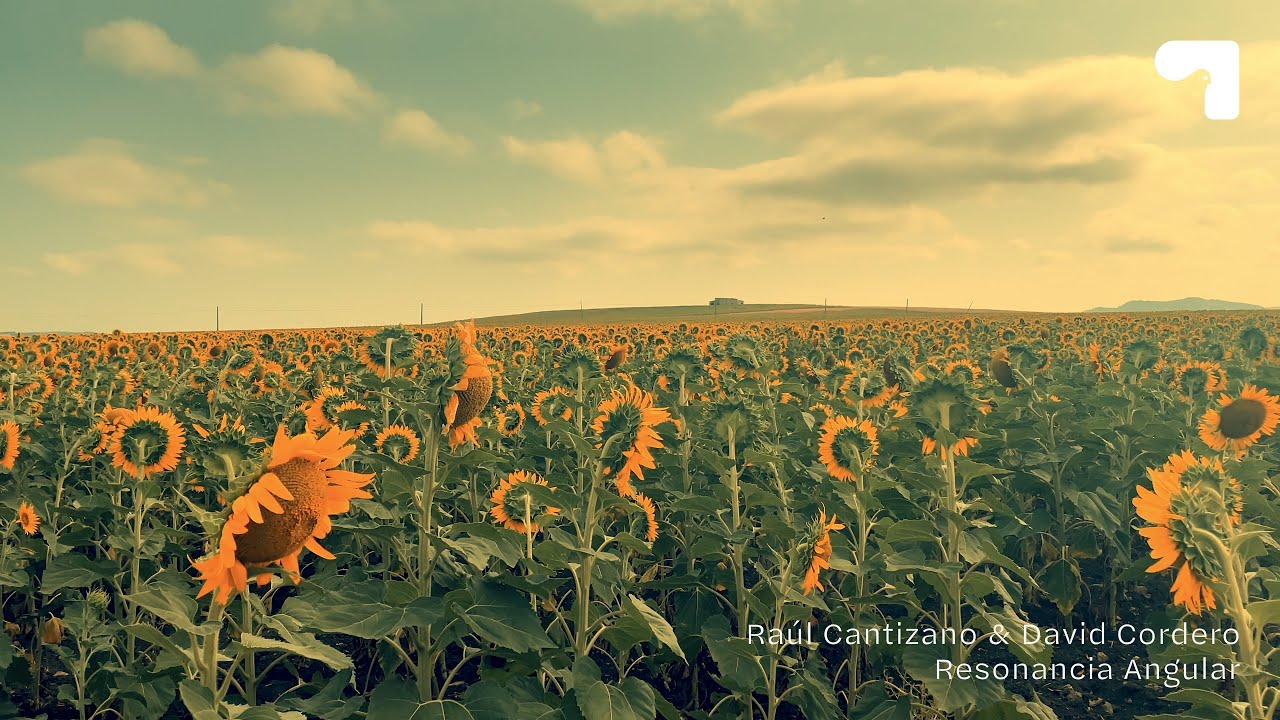 Raúl Cantizano & David Cordero | Resonancia angular
