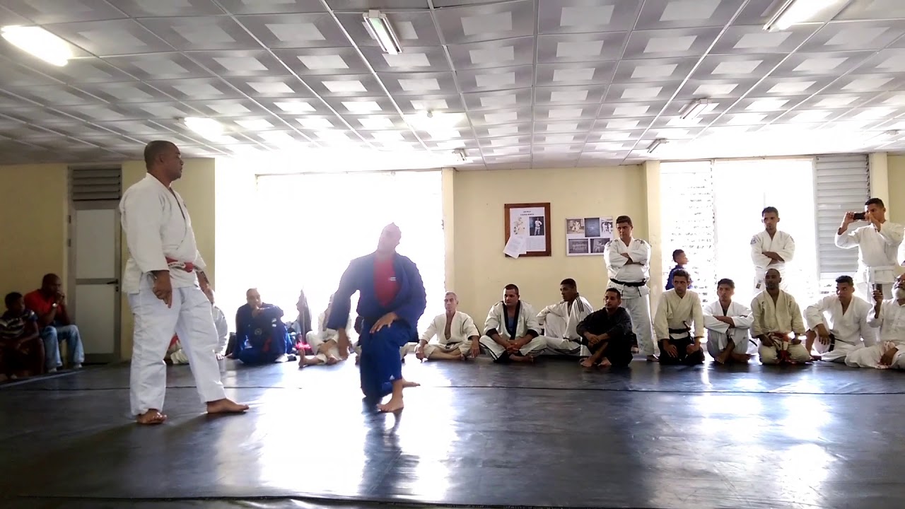 Varias técnicas de Ju-Jitsu y Hojo-Jutsu