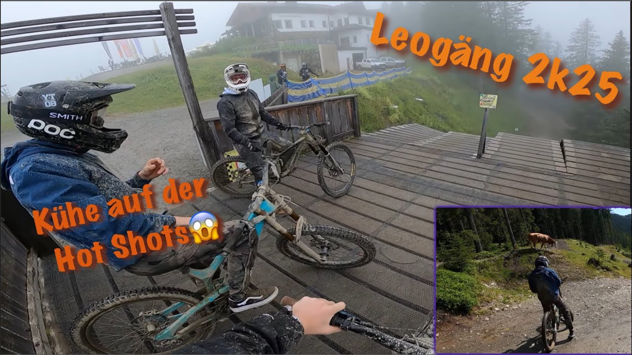 Bikepark Leogang 2k25 / Kühe auf der HOT SHOTS 😱