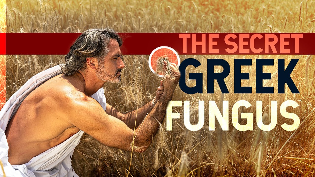 This Fungi Was Kept SECRET for 2000 Years - Here's What We Know NOW.