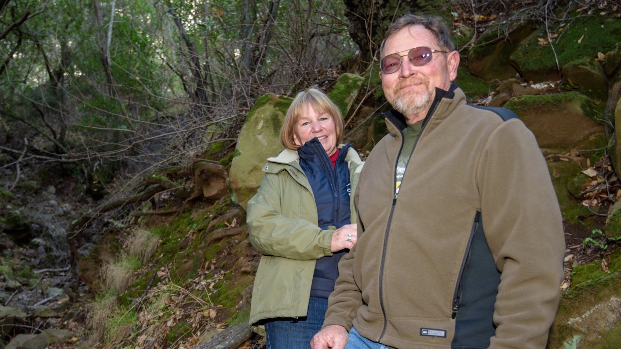 Save Mount Diablo